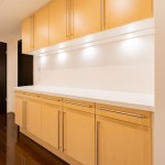  | IZUMI GARDEN RESIDENCE Interior photo 04