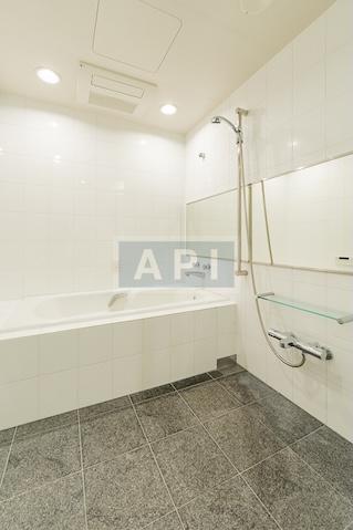  | IZUMI GARDEN RESIDENCE Interior photo 06
