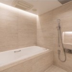  | PRESTAGE RESIDENCE SHIROKANEDAI Interior photo 03