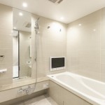  | TOKYO PORT CITY TAKESHIBA RESIDENCE TOWER Interior photo 10