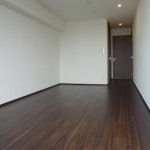  | NIBANCHO TERRACE Interior photo 02