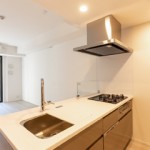  | GREEN RESIDENCE AKASAKA Interior photo 03