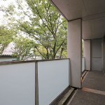  | OMOTESANDO HILLS ZELKOVA TERRACE Interior photo 18