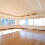  | AKASAKA TAMEIKE TOWER RESIDENCE Interior photo 02