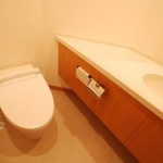  | AKASAKA TAMEIKE TOWER RESIDENCE Interior photo 11