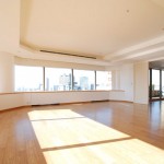  | AKASAKA TAMEIKE TOWER RESIDENCE Interior photo 01