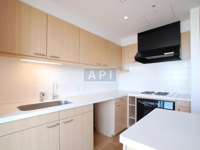  | AKASAKA TAMEIKE TOWER RESIDENCE Interior photo 03