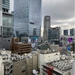  | TERRACE SHIBUYA MITAKE Interior photo 11