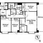 Layout