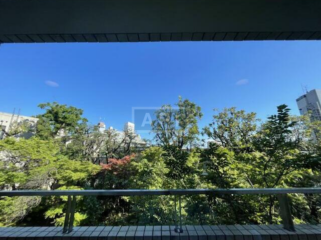  | NISHI-AZABU MANOR HOUSE Interior photo 09