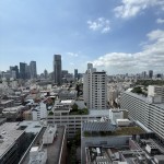  | AOYAMA DAIICHI MANSIONS Interior photo 19