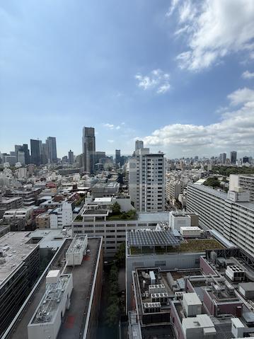  | AOYAMA DAIICHI MANSIONS Interior photo 19