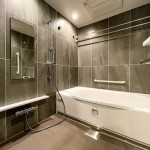  | ROYAL PARKS ARIAKE Interior photo 05