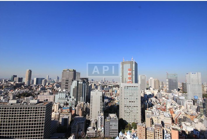  | AKASAKA TOWER RESIDENCE TOP OF THE HILL Exterior photo 09