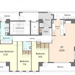 Layout